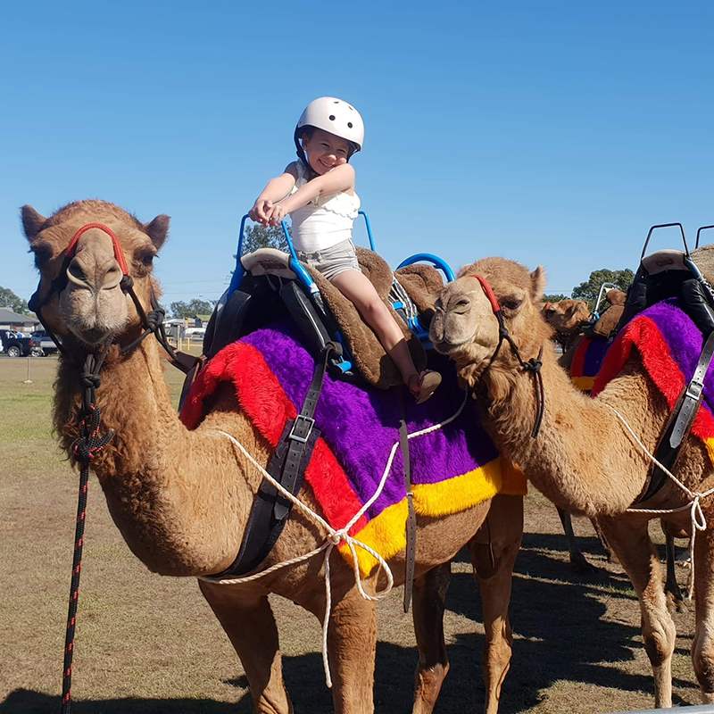 Camelot Camels Noosa Camel Rides Hire our friendly camels for an event festival or beach rideHappy Kids